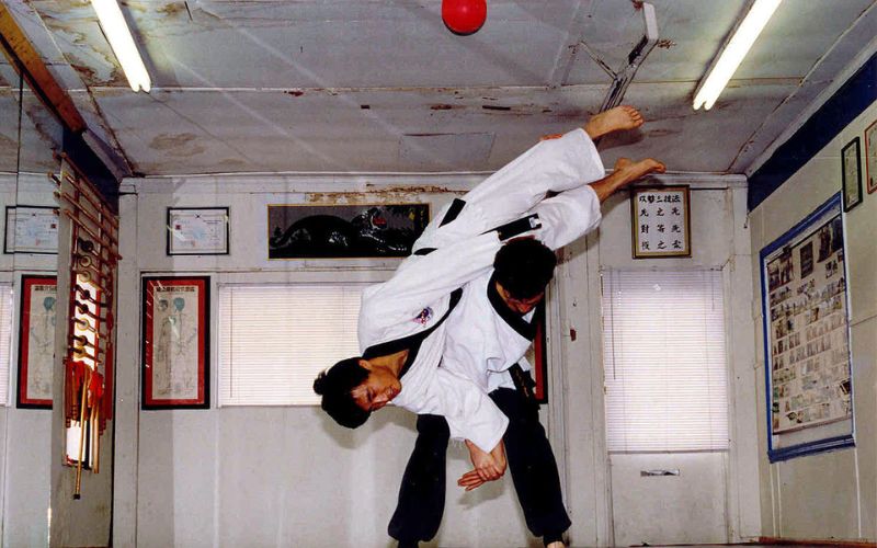 Võ Hapkido