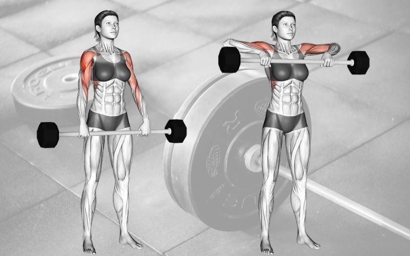 Nâng tạ Upright Row: Tăng cường cơ bắp và giảm mỡ nách hiệu quả