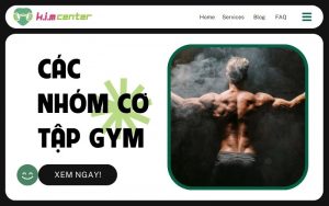 Các nhóm cơ tập gym