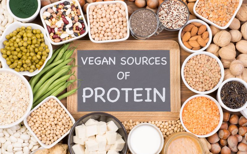 Ưu điểm nổi bật của bột protein thực vật