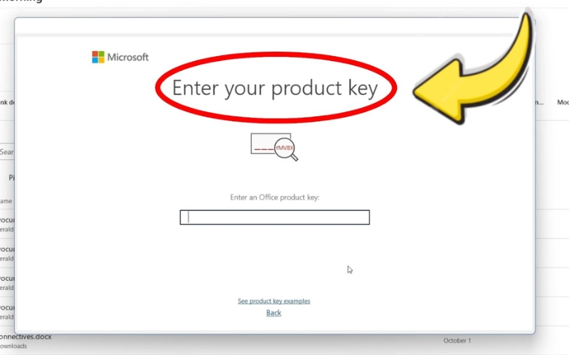 Lỗi bản quyền trên Microsoft Office 365